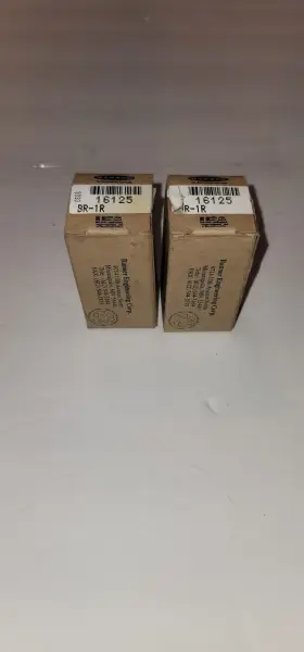 BR-1R BANNER Box Reed Relay