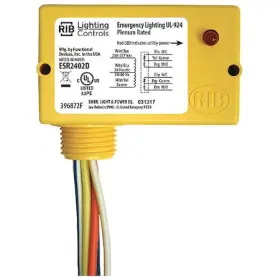ESR2402D FUNCTIONAL DEVICES-RIB Enclosed Wired Relay