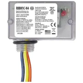 RIBH1C-N4 FUNCTIONAL DEVICES-RIB Enclosed Relay Spdt