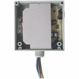 RIBT24P FUNCTIONAL DEVICES Relay Taa