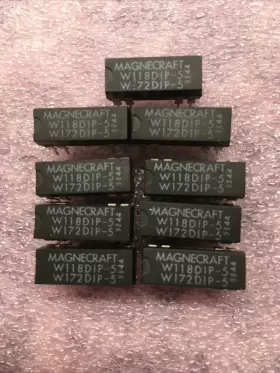 W172DIP-5 MAGNECRAFT Relay