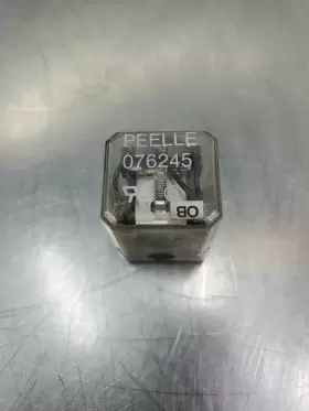 076245 PELLE Peelle Relay
