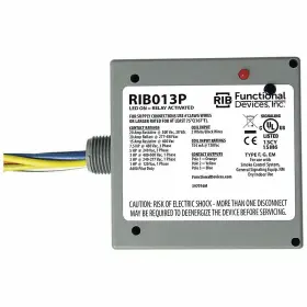 RIB013P RIB BUILDING AUTOMATION Enclosed Relay