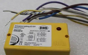 ESR2401D RIB Relay Emergency Lighting #2