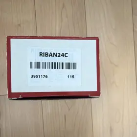 RIBAN24C RIB General Relay