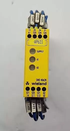 4062K-A WIELAND Sno Safety Relay