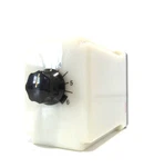 New Potter & Brumfield Cb-1023b-78 Relay Cb10233b78. Fixed Price $60.00.