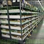 1pc New And Sealed Siemens 3rt6024-1bb40. Fixed Price $58.39.