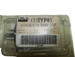 Dayton 5yp81 Time Delay Relay 24vac 10amp *new Old Stock*. Fixed Price $17.50.