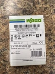 750-513/000-001 Wago 2-channel Relay Output Module. Fixed Price $85.00.
