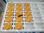 Ha1e-dc12v Aromat Relay Lot Of 1 Ea. Fixed Price $22.50.