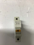 Automation Direct Dn-fm6l Dinnectors 1 Pole Fuse Holder 30 A 600 V Dnfm6l T-053. Fixed Price $11.99.